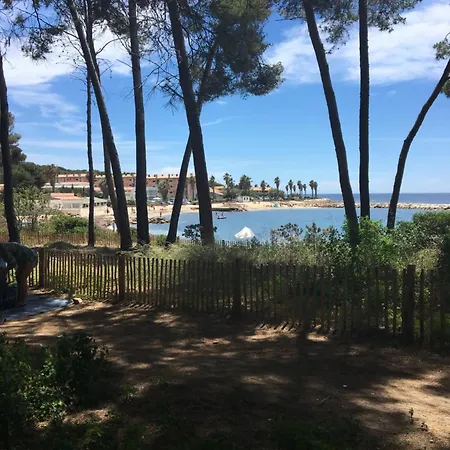 Le Cosy Pin Rolland *