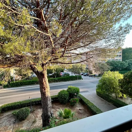 Le Cosy Pin Rolland *